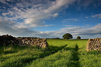 1036-White-Peak-Summer Chris Gilbert, Ravenseye Gallery, Peak District, Photographs, Courses