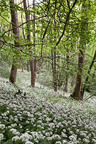 Chris Gilbert, Ravenseye Gallery, Peak District, Photographs, Courses