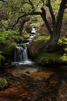 4140-Sunlit-Fair-Brook Chris Gilbert, Ravenseye Gallery, Peak District, Photographs, Courses