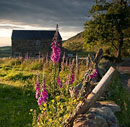 1520-Hollinsclough-Evening Chris Gilbert, Ravenseye Gallery, Peak District, Photographs, Courses