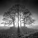 1521-The-Pinfold Chris Gilbert, Ravenseye Gallery, Peak District, Photographs, Courses
