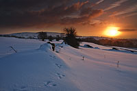 2042-Winter-And-Hares Chris Gilbert, Ravenseye Gallery, Peak District, Photographs, Courses