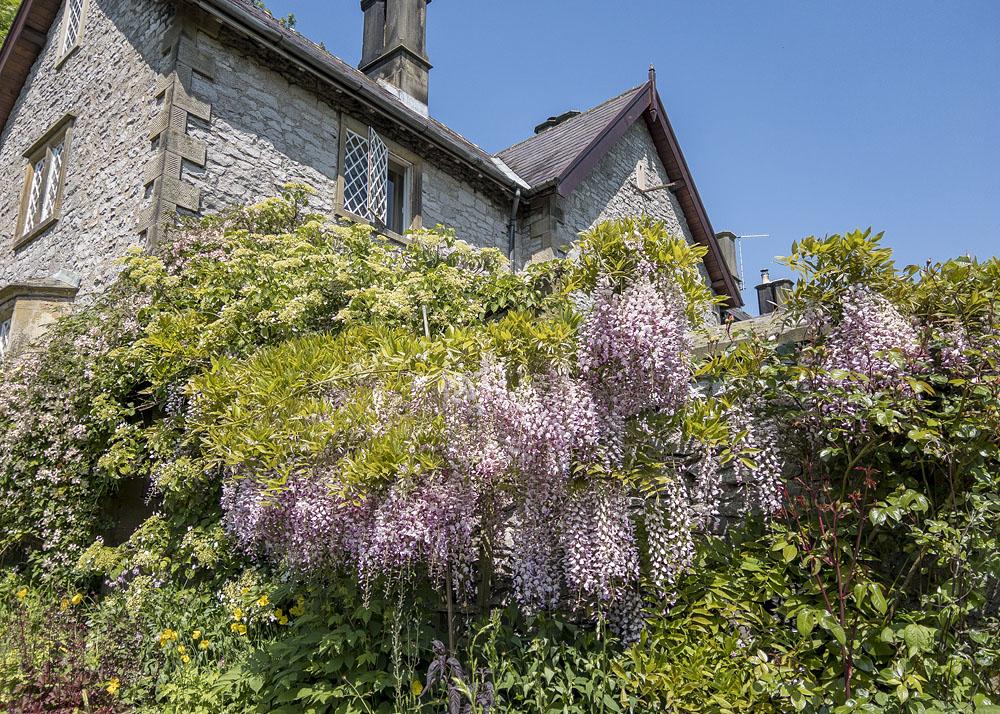 Ravenseye Garden National Open Gardens Scheme