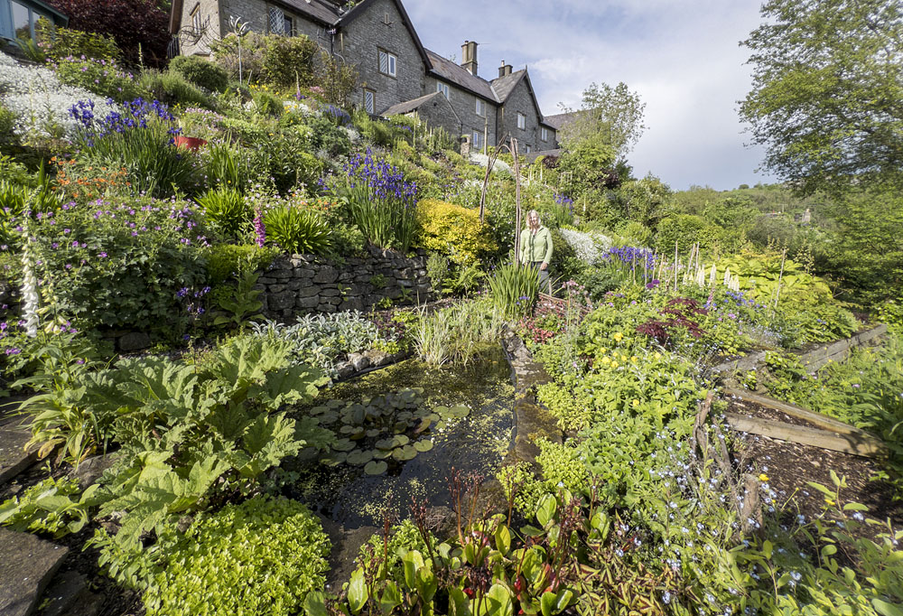 Ravenseye Garden National Open Gardens Scheme