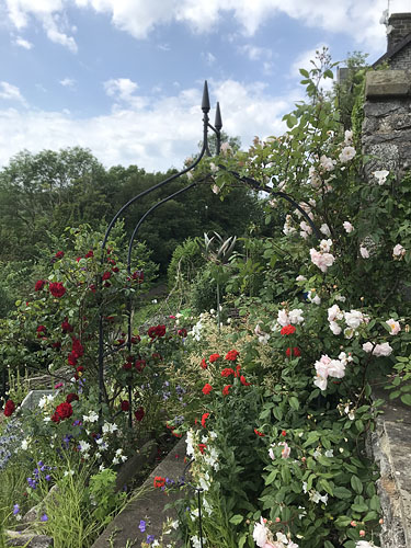 Ravenseye Garden National Open Gardens Scheme