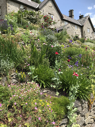 Ravenseye Garden National Open Gardens Scheme