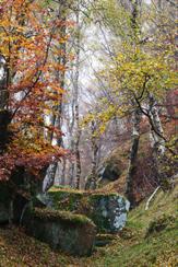 2575_BolehillInAutumn